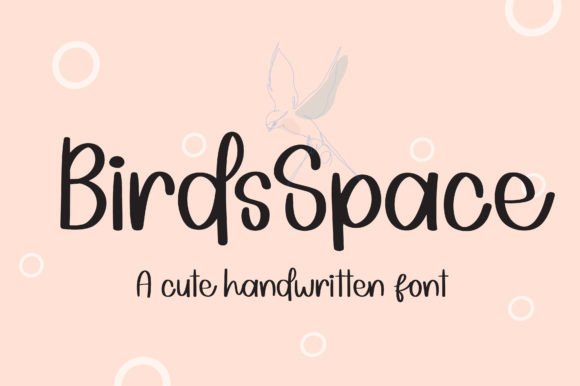 Birdsspace: The Cute Display Handwritten Font for Campaign Visuals
