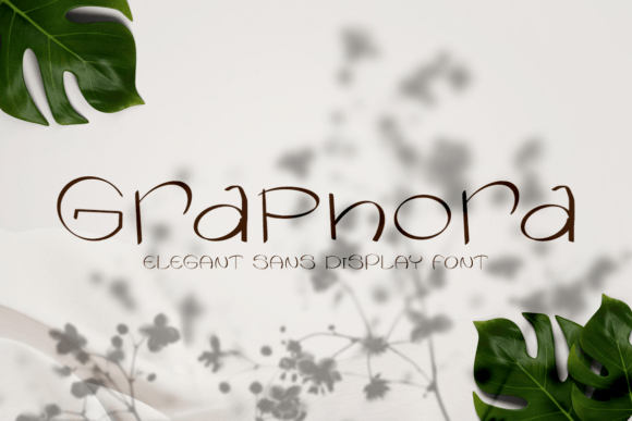 Graphora: The Elegant Sans Display Font for Boutique Branding