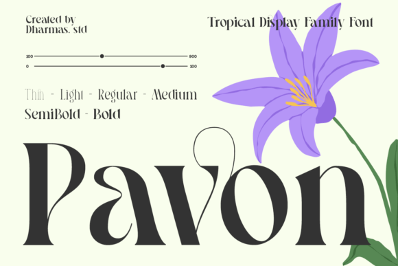 Pavon Typeface: Elevate Your Brand Identity