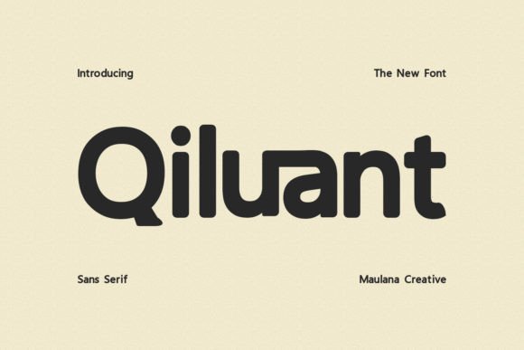 Qiluant Display Font for Modern Web Design