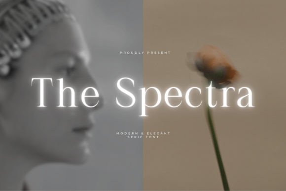 The Spectra Modern Elegant Serif Font Review for Brand Campaigns